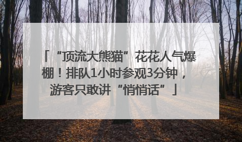 “顶流大熊猫”花花人气爆棚！排队1小时参观3分钟，游客只敢讲“悄悄话”